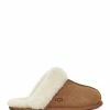 Ugg Chaussons Scufette Chesnut